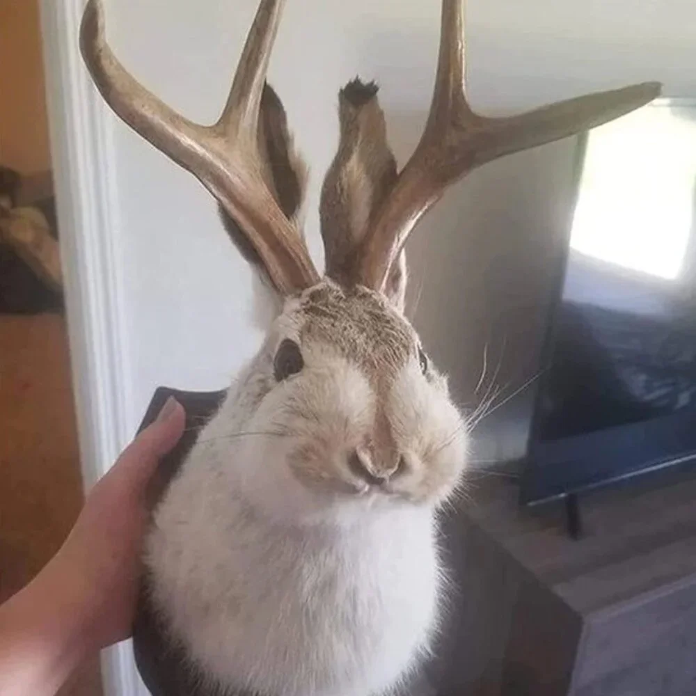 Jackalope Resin Wall Mount – Retro Deer Head Wall Sculpture